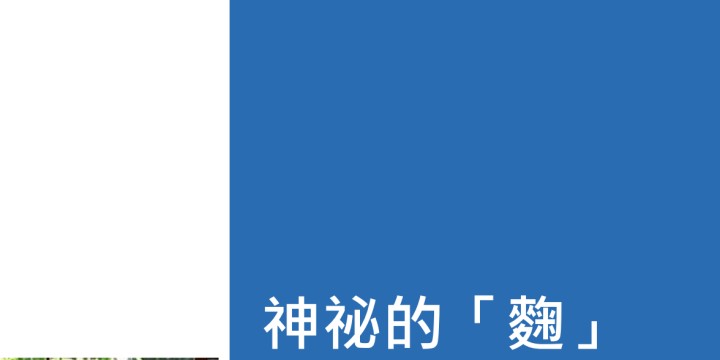 地震 7版 foil 繁体字 中国語 他言語 maxresdefault.jpg